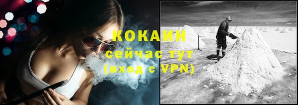 СК Новодвинск