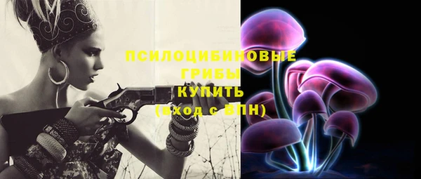 СК Новодвинск