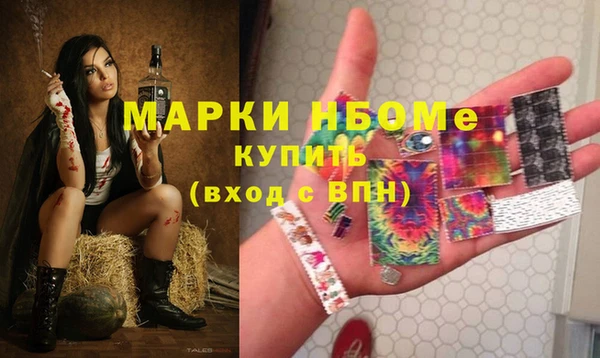 СК Новодвинск