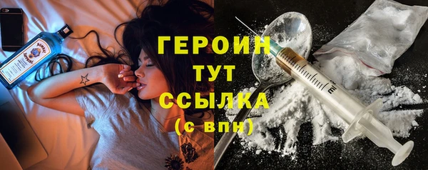 СК Новодвинск