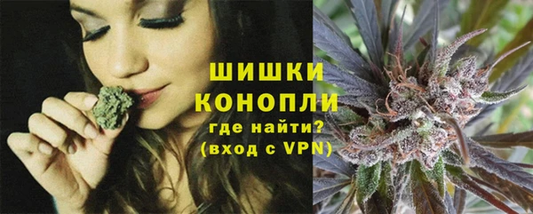PSILOCYBIN Няндома