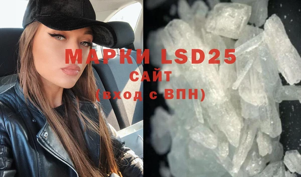 СК Новодвинск