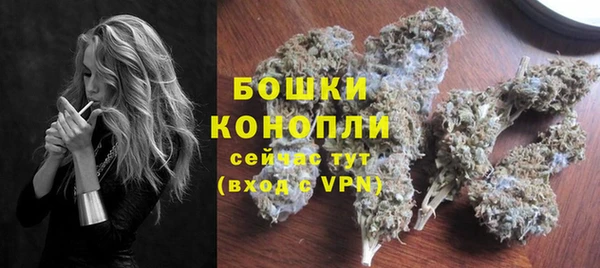 СК Новодвинск