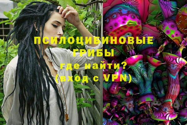 PSILOCYBIN Няндома