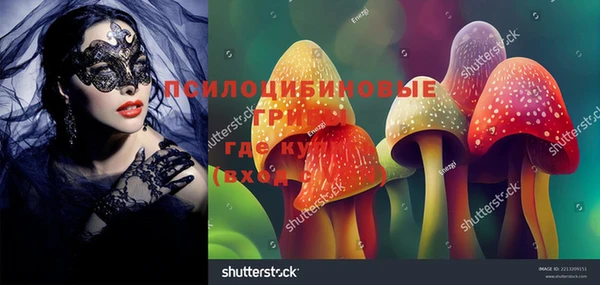 дурь Новозыбков
