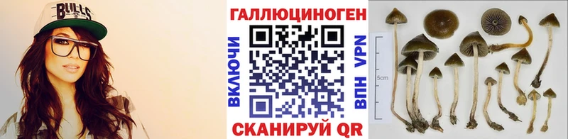 Галлюциногенные грибы ЛСД  Томск 