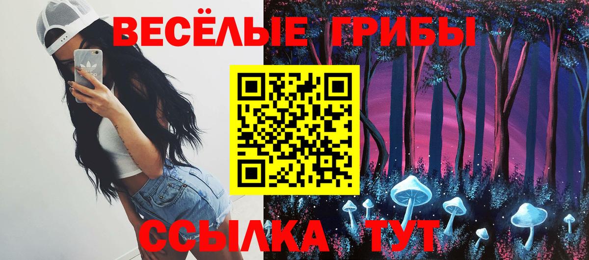 наркотики  Томск  Псилоцибиновые грибы GOLDEN TEACHER 